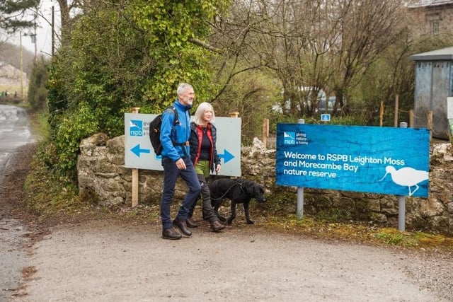 Take a trip to RSPB Leighton Moss in Carnforth