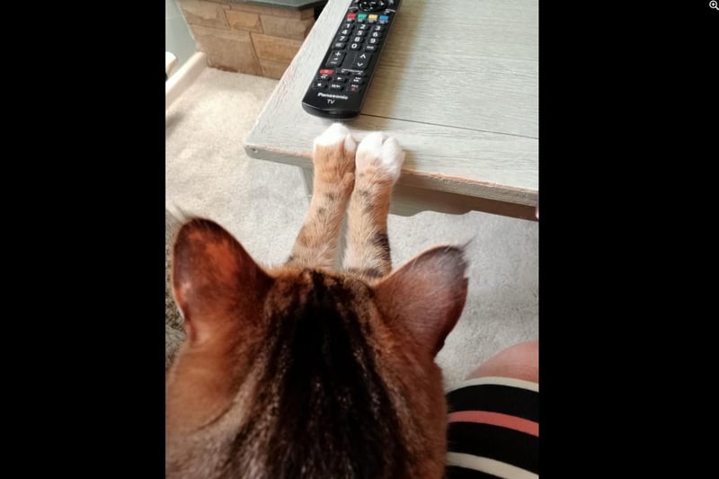 From Helen Byfield - Luna keeping control of my TV remote!