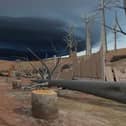 A scene from the Future Forests Experience