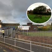 Lea Community Primary School's expansion has caused consternation among some of those living nearby  (images: Google/LCC)