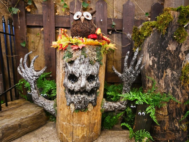 Paul's Farm Pumpkin Patch, Leyland, are ready to host their third and final weekend of Halloween family fun.