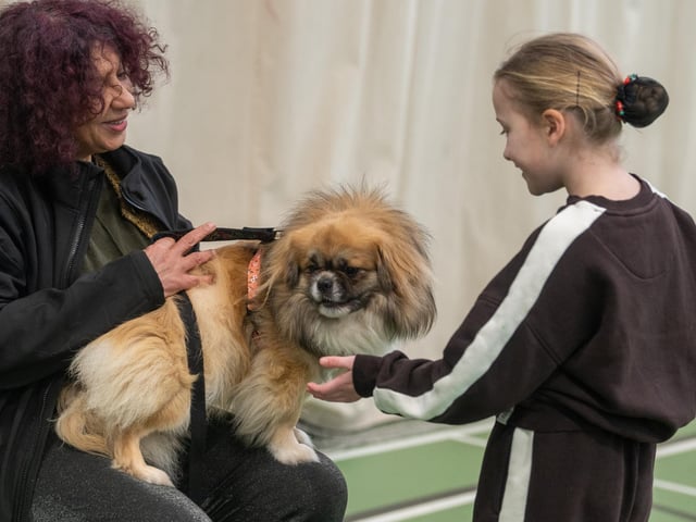 The workshop is aimed at children aged between 4-11 to educate them on safe interactions with dogs at Inspire Youth Zone, Chorley