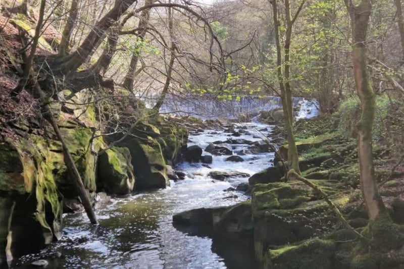 The weir hoves into view as you meander through the woods