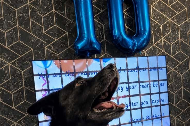 Bentley pictured on his 10th birthday.