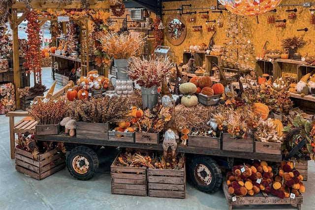 The Plant Place have got their autumn displays up ready for the new season. Credit: Oliver Hallam