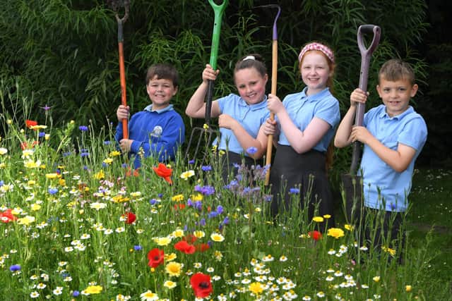 Barnacre Road Primary School wild flower garden - George, Iris, Ava and Mason