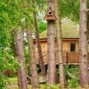 Owl Box - one of Treetop Hideaways' signature treehouses