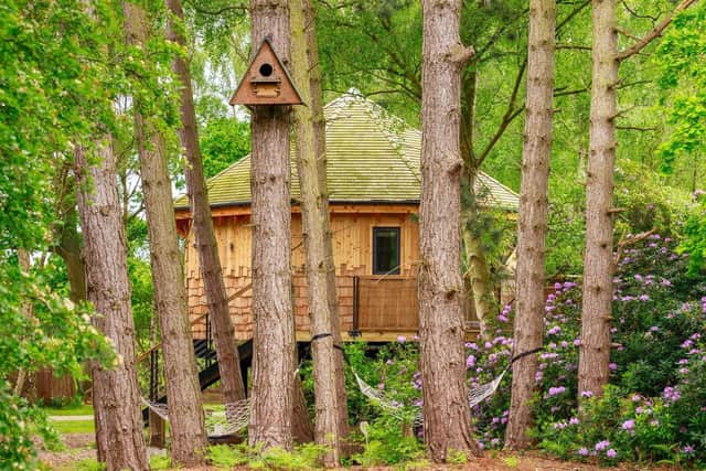 Owl Box - one of Treetop Hideaways' signature treehouses