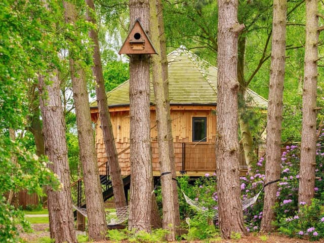 Owl Box - one of Treetop Hideaways' signature treehouses