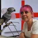 Football mad Joey the England supporting parrot never misses a match and constantly sings "It's Coming Home", pictured with his owner Jemma Louise