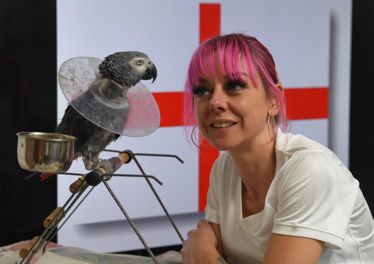 Football-obsessed Preston parrot Joey reckons this year - It's Coming Home!