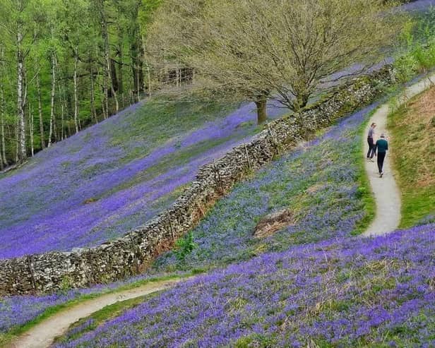 Winning image - Loughrigg Fell, near Rydal Water, Ambleside, Cumbria