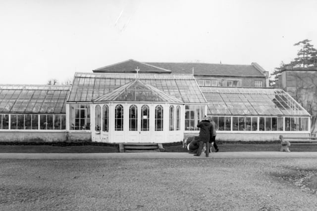 This image of the conservatory at Worden Hall was taken in 1982. The structure has been a focal point in the formal gardens since it was first built in the 1860s when the grounds formed part of the estate of the ffarington family who were the owners of Worden Hall and the surrounding parkland up until 1950. After falling into disrepair the conservatory was given a £200,000 only to be vandalised shortly after it was reopened in 2019. This damage has since been repaired and the conservatory once again is a focal point