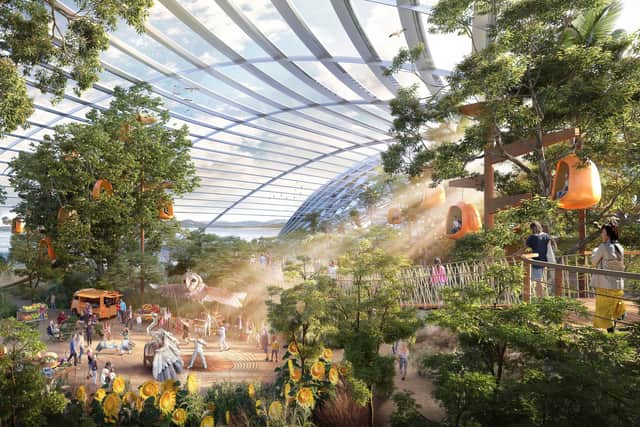 How the interior of one of the Eden Project Morecambe domes might look. Photo: Eden Project