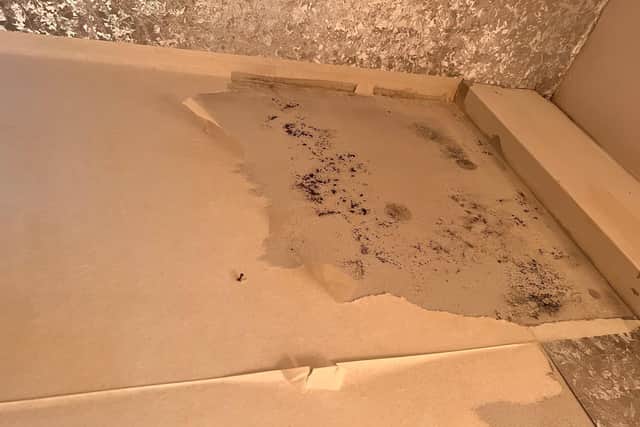 Pictures of mould in Gail's home. Progress Homes says the picture was taken in December last year before its latest repairs