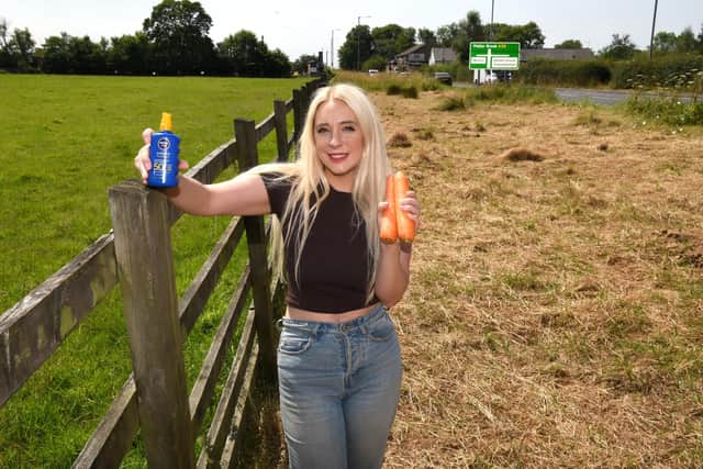 Lancashire Post reporter Emma Downey on the trail of the horse along the A59 - armed with sun cream for herself and carrots for the horse on the hottest day of 2022
