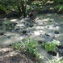 An example of water pollution in Harrogate at Hookstone Beck