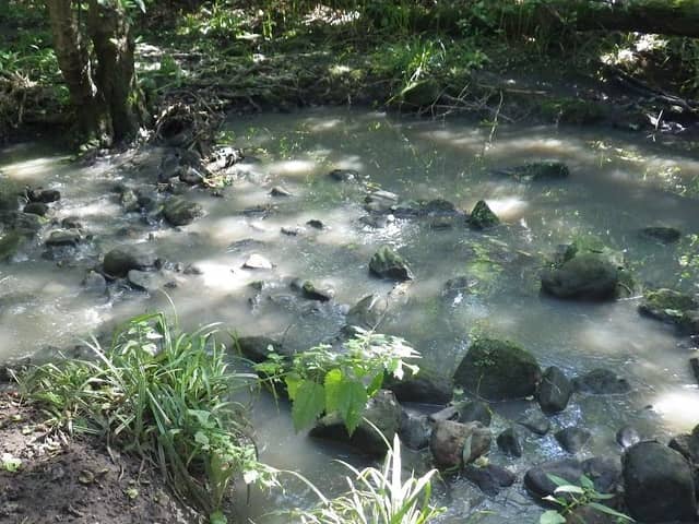 An example of water pollution in Harrogate at Hookstone Beck