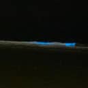 This natural phenomenon can be seen when there is lots of bioluminescence in the water, usually from an algae bloom of plankton which have the ability to emit light when disturbed by a predator or motion. (Picture by Lynn Redman)