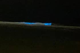 This natural phenomenon can be seen when there is lots of bioluminescence in the water, usually from an algae bloom of plankton which have the ability to emit light when disturbed by a predator or motion. (Picture by Lynn Redman)