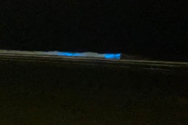 This natural phenomenon can be seen when there is lots of bioluminescence in the water, usually from an algae bloom of plankton which have the ability to emit light when disturbed by a predator or motion. (Picture by Lynn Redman)