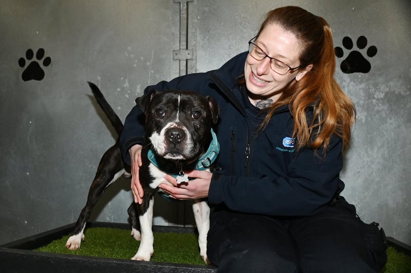RSPCA Preston and District Branch manager Ashleigh Kay with one of the animals that needs rehoming