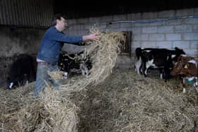 Ian Pye at work at Old Holly Farm, Cabus.