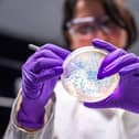 Microbiology. Picture posed by model.