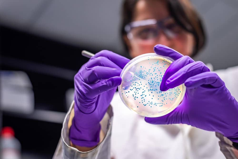 Microbiology. Picture posed by model.