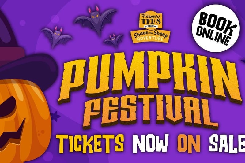1 free pumpkin per paying child. Expect dinosaurs, a dead scary sunflower maze, pumpkin carving, fancy dress competitions, spooky ghost stories and loads of photo opportunities.