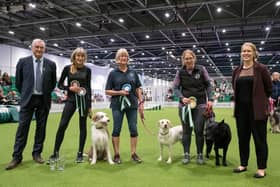 Julie Darlington with Bohemian Spirit (Skeeter) won through to Crufts after winning the Large Novice ABC Agility competition. Photo: The Kennel Club - Yulia Titovets