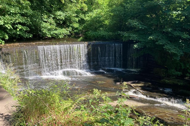 The Weir and salmon steps at Yarrow Valley Country Park