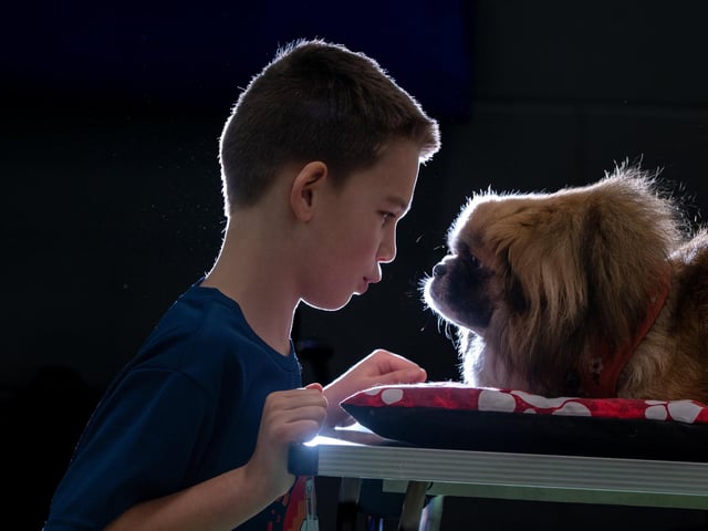 The workshopis aimed at children aged between 4-11 to educate them on safe interactions with dogs at Inspire Youth Zone, Chorley