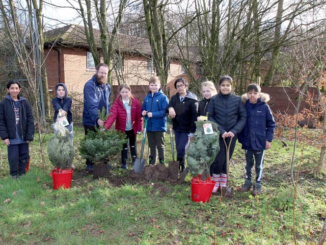 Year 5 pupils at Sherwood Primary School planting the donated trees with Michael Stanton, Year 5 teacher and Forest School Leader. Image: Camera-Shy photography