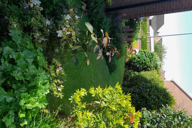 A beautiful and well kept garden
