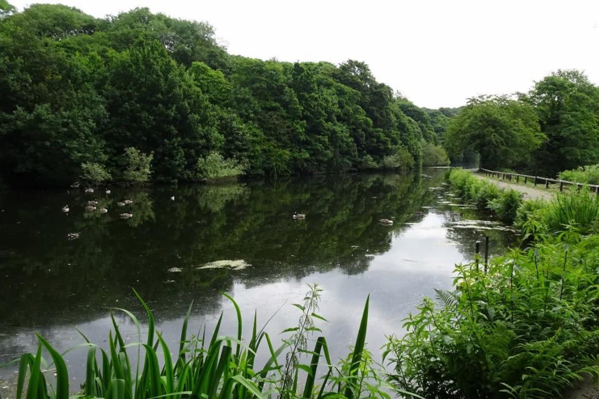 Casualty is rescued from water by firefighters at Lancashire beauty spot
