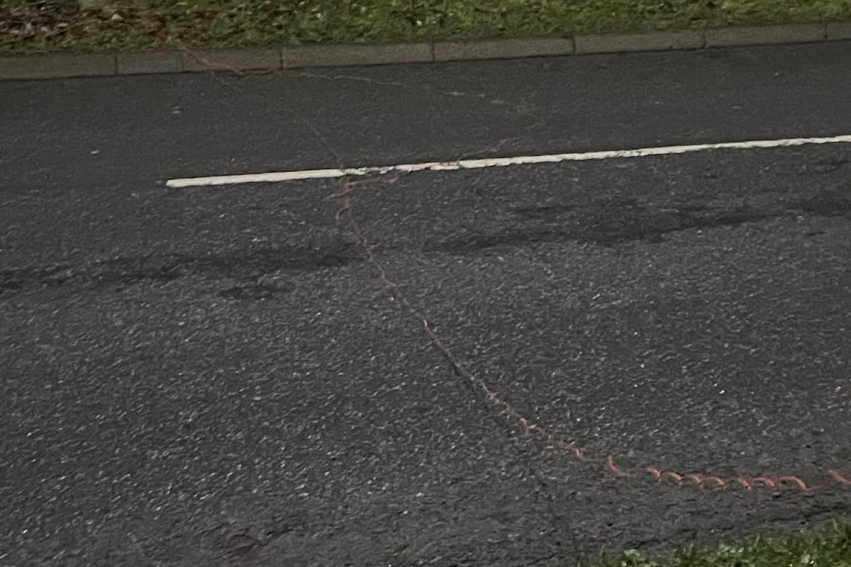 "This could have killed someone": Dangerous 'prank' puts road users at risk