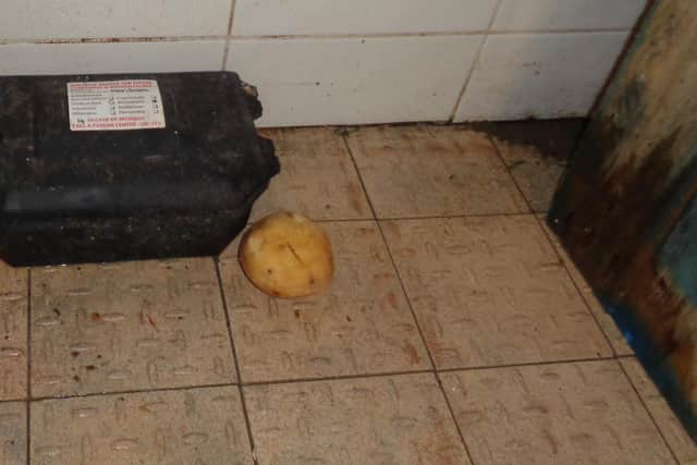 Potatoes on the floor of Mickey Finns provided a food source for the rats.