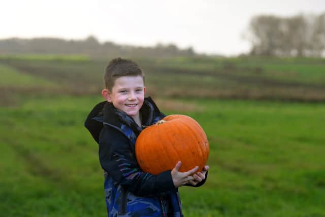 George Owen, nine, on his pumpkin patch in Whitestake, Preston