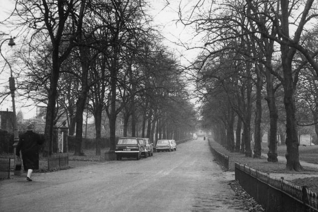 A quiet autumn morning on Moor Park Avenue, which runs alongside Moor Park in Preston. The image is dated 1967