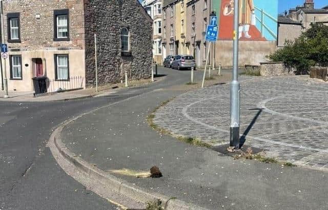 Residents of Poulton have started a petition to Lancashire's Police and Crime Commissioner for CCTV in Fisherman's Square in the village after an increase in anti-social behaviour.