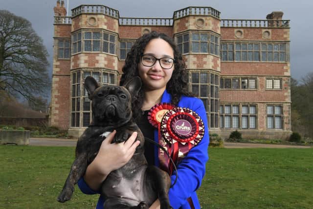 Tamia Cardoza, 12, from Chorley with her French Bull dog Lila who came first in their class at Crufts