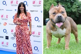 Preston born Ranvir Singh expressed her views on the American Bully XL on Good Morning Britain.