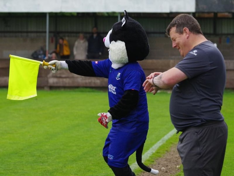 The Brig Cat takes over assistant referee duties
