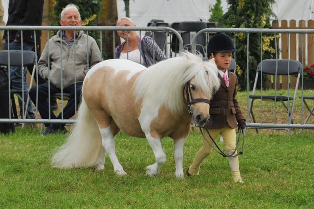 There was plenty of involvement from youngsters in this year's Garstang Show, which has been running since 1813. Here a young girl leads out her cherished pony.