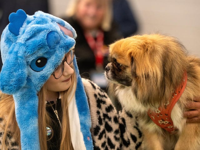 The workshop is aimed at children aged between 4-11 to educate them on safe interactions with dogs at Inspire Youth Zone, Chorley