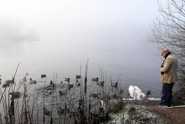 Take in this gentle five mile circular walk starting and finishing at the Longton Brickcroft Nature Reserve