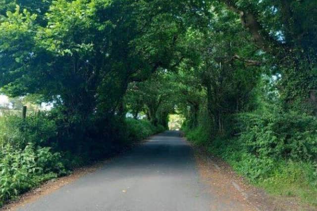 Villagers say Hill Top Lane's quiet calm is coming under threat from new housing proposals (image: Whittle Parish Council)
