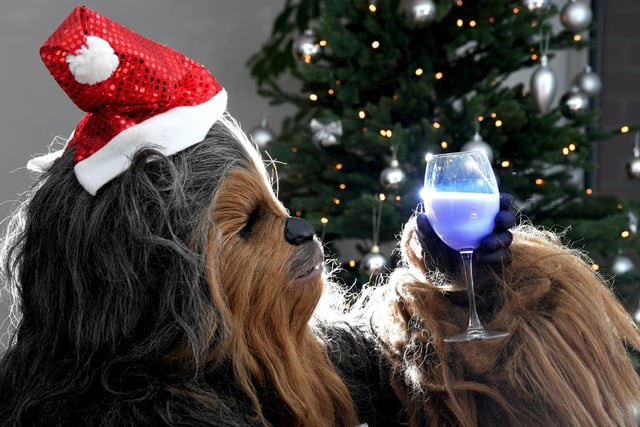 Even Wookiees like a Christmas drink!