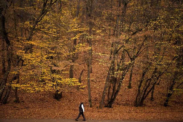 As Autumn starts, the Post asked its readers what their favourite thing about the season is. Photo by ARMEND NIMANI/AFP via Getty Images.